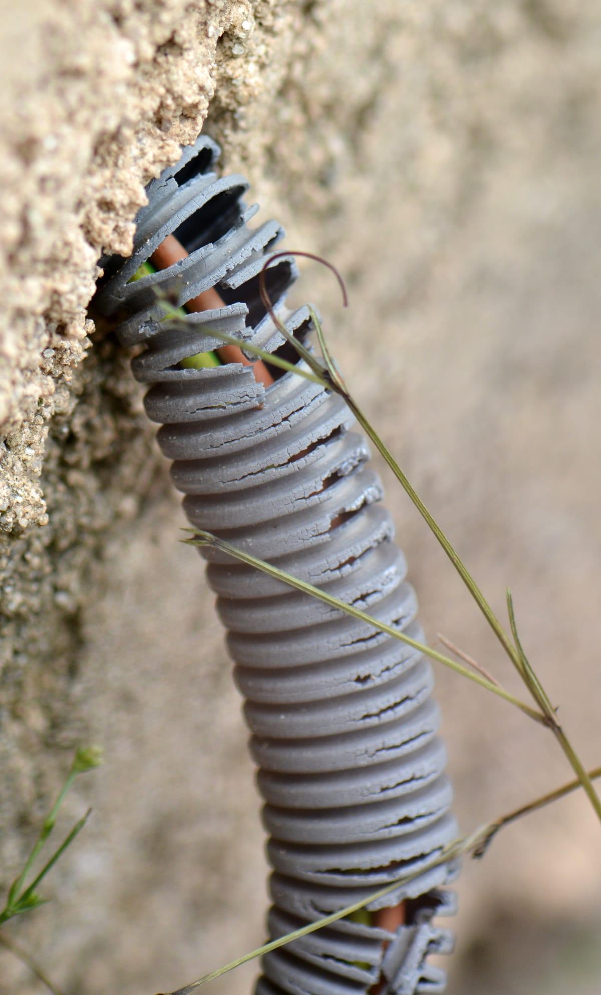 A grey corrugated plastic cable conduit emerging from a concrete wall, its ribs split and cracked open along the whole exposed length, with the coloured wires inside showing through