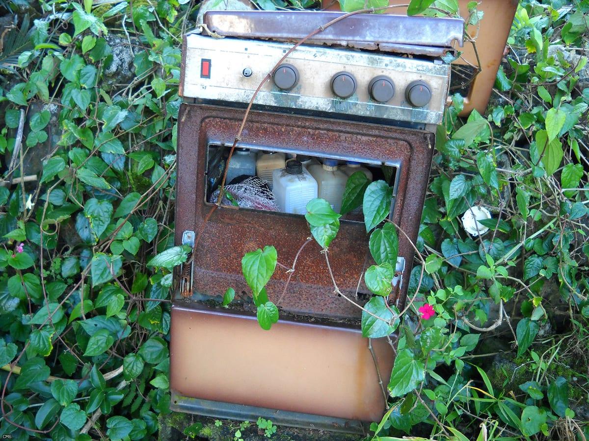 A discarded freestanding cooker rusting outdoors and overgrown with creepers, its four control knobs still intact on the front panel