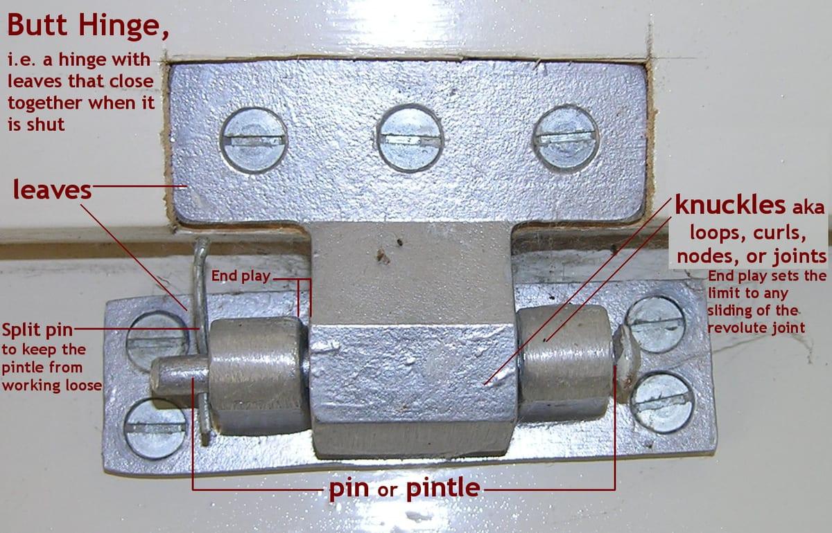 Annotated photograph of a metal butt hinge labelling the leaves, knuckles, pin or pintle, split pin and end play