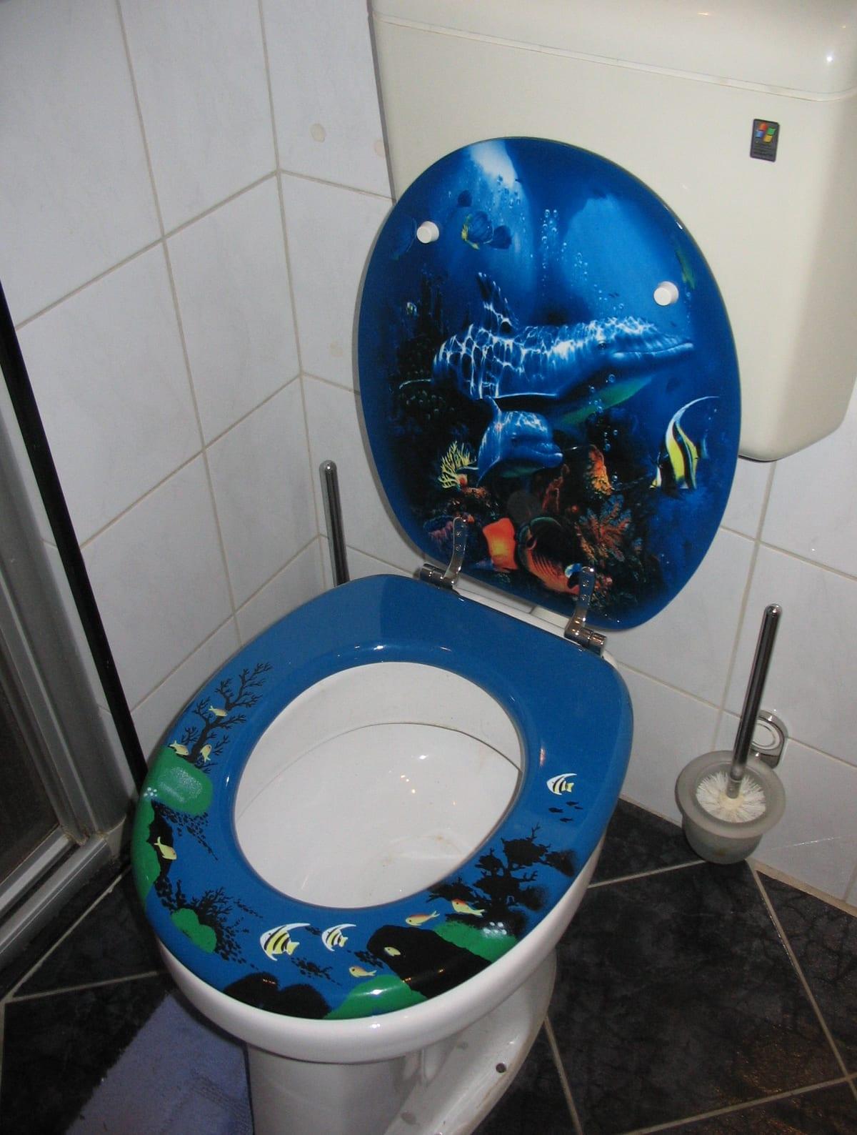 Toilet with the lid raised, showing the metal hinge assemblies at the back of the bowl