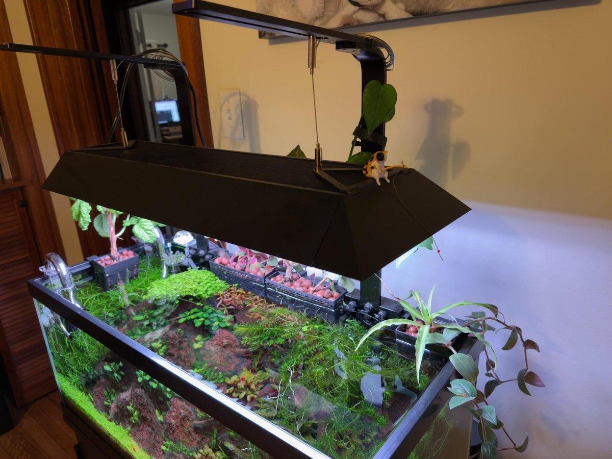 Custom Aquarium LED Light Hood with Adjustable Mounting System